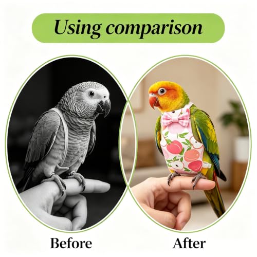 4Pcs Reusable Waterproof Bird Diaper Suit, Cute Pet Nappy Clothes for Parrot Duck Chicken Pigeon Small Pets (L) - size: L
