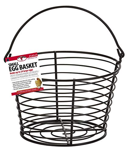 Little Giant® Small Egg Basket | Basket for Carrying and Collecting Chicken Eggs | Wire Egg Basket | Egg Collecting Basket - size: Small