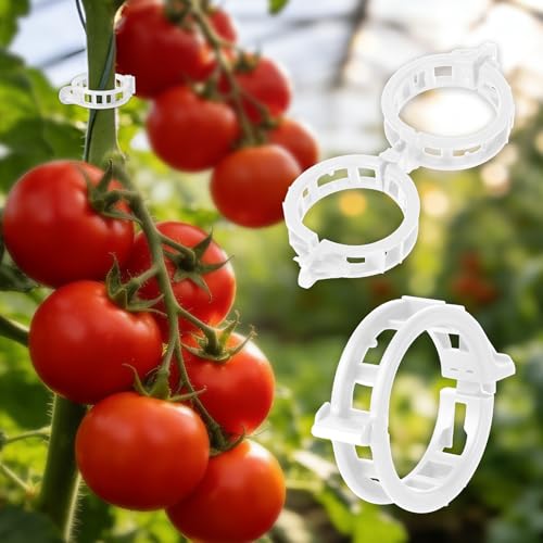 300Pcs Thickened Tomato Clips, Plant Support Clips Plastic Trellis Clips | Plant Clips for Grape Vine, Tomato Vine, Vegetable Plants, to Grow Upright Makes Plants Healthier, White - color: White