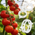 300Pcs Thickened Tomato Clips, Plant Support Clips Plastic Trellis Clips | Plant Clips for Grape Vine, Tomato Vine, Vegetable Plants, to Grow Upright Makes Plants Healthier, White - color: White