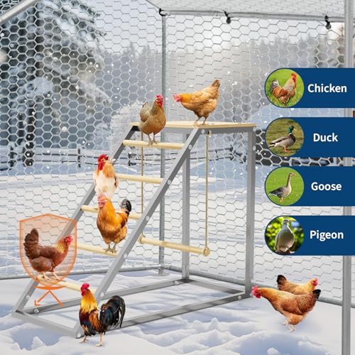 Chicken Perch with Swing, Sturdy Chicken Roosting Bars with Ladder for Backyard Farm, Easy Installation, 37.6" L x 15.7" W x 27.5" H