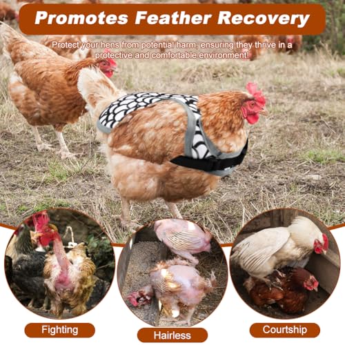 4PCS Chicken Saddles for hens, Chicken Apron Back Protector for Hens with Adjustable Strap, Chickens Hen Mating Saddle, with 50pcs Chickens Identification Band