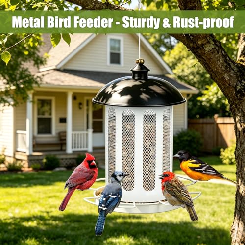 Bird Feeder, 4LB Large Capacity Bird Feeders for Outdoor Hanging | Heavy Duty Metal, 4 Perches, With Drain Holes, Wild Birdfeeder, For Outside Garden Yard Decor, Retro Lantern Shape - color: Black & White