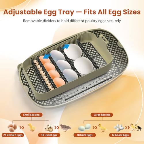 24 Egg Incubator with Humidity Display & Candler, Automatic Adjustable Turner, Temp & Humidity Control, Auto Water Refill – Large Capacity Hatcher for Chicken, Duck, Goose, Turkey, Quail - color: Brown, size: 24 Egg