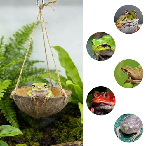 Natural Coconut Shell Frog Swing Toy, Reptile Hammock Bed with Hanging Rope & Metal Buckle, Terrarium Habitat Decor Accessories for Lizard Gecko Bearded Dragon Hamster Birds Hermit Crab Bearded Dragon