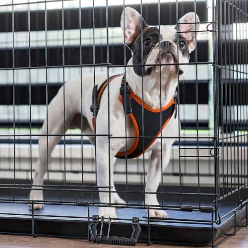 DOITOOL Bird Cage Tray Replacement 17.32X11.22X1.18In Leakproof Plastic Tray for Small Dog Crate Bunny Cage Bottom Parrot Set of 2 Easy to Resistant