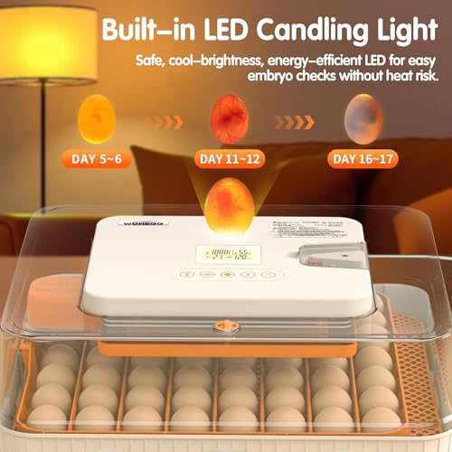 56 Egg Incubators for Hatching Eggs with Auto Egg Turner, Automatic Humidity & Temperature Control, LED Candle Light, Hatch Days Display, 360° View for Chicken, Duck, Goose, Quail, Bird Eggs - size: 20.0"L x 8.0"W x 18.0"H