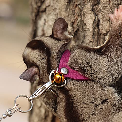 3 Pack Sugar Glider Harness and Leash Set - Adjustable Traction Rope Strap Anti-Biting Chain Rope, Small Animal Training Walking Vest Leash for Sugar Glider Squirrel Hamster Rat Birds Reptile (Purple) - color: Purple