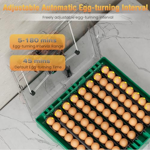 Egg Incubator for Chicken Eggs, Max 72 Egg Incubator with Auto Turner | Large capacity egg hatcher with humidity control, 360° clear view for chicken, duck, quail eggs, farms & classrooms