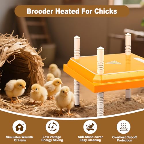 Chick Brooder Heating Plate,10"x10" Heat Plate for Chicks with Thermostatic Anti-Slip Adjustable Height & Angle,15 Watts Brooder Heater for Chicks Warm Like Mother Hen