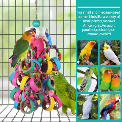 lovyoCoCo Bird Toys Conure Toys,Bird Parrot Foraging Shredder 24 Pcs Colorful Bagel Chewy Rings for Small Parrots Parakeets Conures Cockatiels Love Bird Cage Accessies (W) - color: W