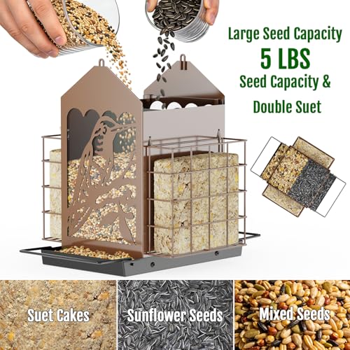 Birdream Bird Feeders for Outdoors, 5 Lbs Metal Bird Feeder with Double Suet Cages, 2 in 1 Mixed Seeds Suet Feeder, Large Capacity & Weatherproof Metal Roof, Attract Cardinals Wildbird Woodpecker