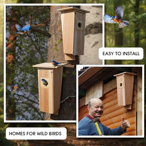 Kathfly 16 Inch Cedar Bluebird Box Houses for Outside Entrance Hole Big Wood Bird Houses Wall Mounted with Metal Secure Latch Air Vents for Bluebirds Titmice Chickadees Wren Swallow Nesting