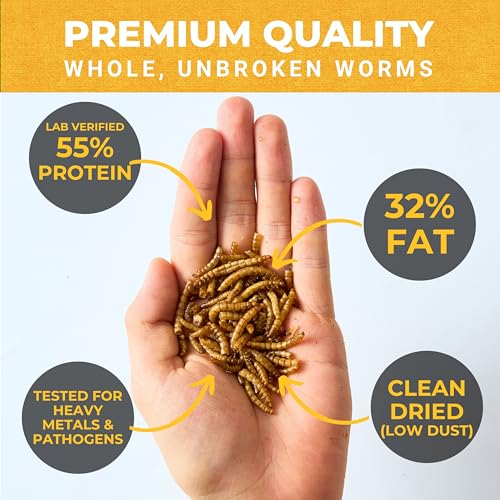 Nature Anywhere Mighty Mealworm | meal worms for wild birds and laying hens, about 52% protein, SGS lab tested, single ingredient, no fillers, resealable