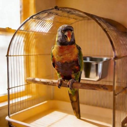 2pcs Rabbit Feeder Waterer Chicken Cage Cup 18oz Stainless Steel Hanging Food Bowl Bird Dishes Water Cups for Pigeon Poultry,Pet,Hamsters,Parakeet,Cats,Puppy,Small Animal