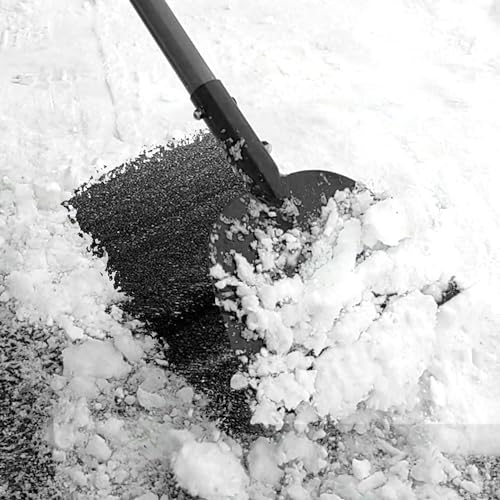Walensee Floor Scraper, Long Handle Flat Shovel for Weeding and Lawn Edging | Wide Flat Blade Removes Weeds, Moss And Debris From Yards, Patios And Sidewalks, Also Scraping Light Ice And Snow In Winter.