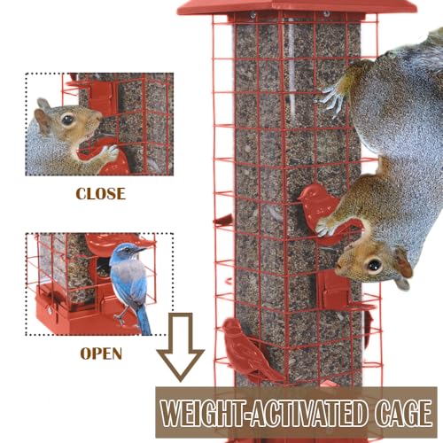 Squirrel Proof Bird Feeders for Outdoors, Metal Wild Bird Feeder for Outside Hanging, 4 Ports Perches, 3LB Large Capacity (Tangerine) - color: Orange