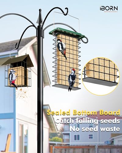 iBorn Metal Double Suet Feeder,Durable Suet Cake Cage Bird Feeder for Outdoors Hanging，Metal Roof Bird Feeder with Taller Grid for Woodpeckers,Large Suet Holder,Easy Clean & Refill,1 Pack,Green - color: Green, size: Double Capacity