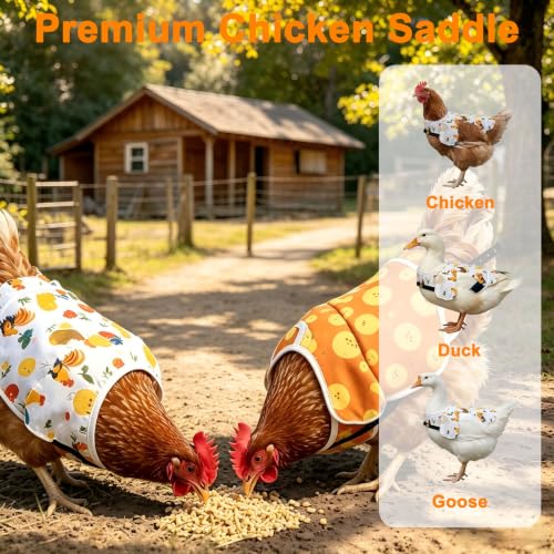 Chicken Saddle for Hens, 2 Pack, Adjustable Waterproof Hen Vest, Breathable Fabric, Feather Protection and Recovery, Rooster Mating Guard (Orange Chick & White Rooster)