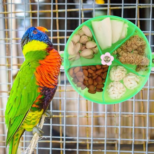 Bird Creative Foraging System Wheel Seed Food Ball Rotate Training Toy for Small and Medium Parrots Parakeet Cockatiel Conure (Green) - color: Green