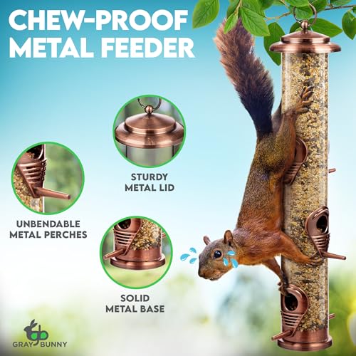 Gray Bunny Squirrel Proof Bird Feeders for Outdoors 6 Port Metal Tube | Cooper bird feeder squirrel proof, locking lid & adjustable hanger, chew-proof, weather resistant, easy clean - color: Copper