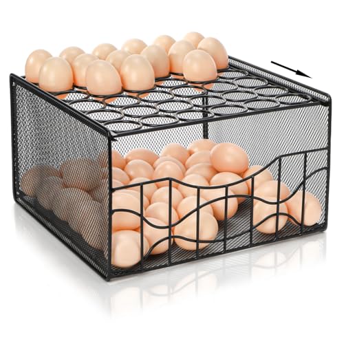 WRINGKIT Large Egg Basket for Gathering, Holds 36 + 100 Eggs | 2 Tier Fresh Egg Collecting Holder with Slide Tray, Metal Wire Farm Eggs Storage Rack for Counter, Easter Egg, Fruit, Veggie
