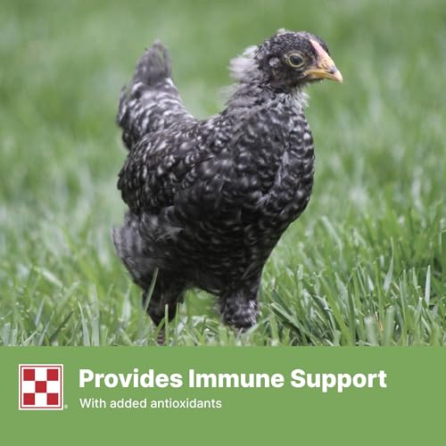 Purina® Farm to Flock™ 18% Grower Chick Food, 25 Pound Bag