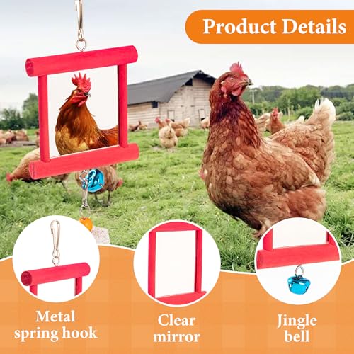 9 PCS Chicken Coop Toys, Chicken Swing Toys for Chickens Xylophone Mirror with Bell Hanging Vegetable Fruits Skewers Feeders Chick Coop Toy for Hen Birds Parrots