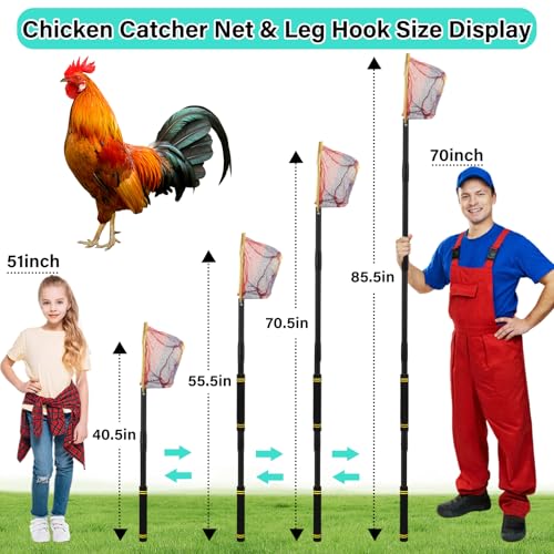 Chicken Catcher Net,30 to 75in Chicken Catcher Leg Hook Extra Long Handle Animal Catcher Pole Heavy Duty with Frosted Tube Extension Pole Poultry Hook Fowl Catcher (Black, 75in) - color: Black, size: 75"