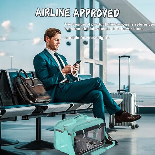 Bird Carrier Airline Approved, Bird Travel Cage with Indestructible Stainless Steel Mesh, Bird Travel Bag Lightweight and Portable with Water Bottle and Bowl - color: Green