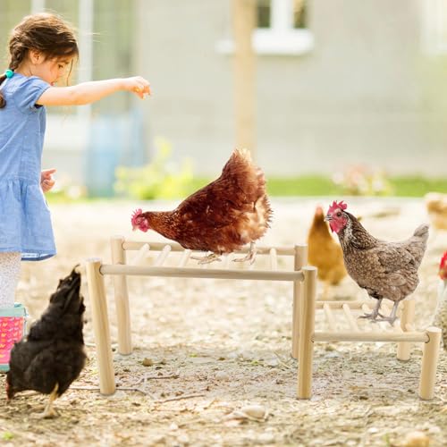 Chicken Perch - Roosting Ladder for Chicken Coop - Jungle Gym & Toys for Poultry
