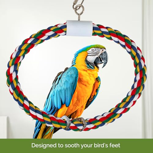 JW Pet Swing N' Perch, Large - size: Large
