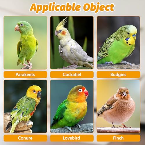 BNOSDM No Mess Bird Feeder Water Dispenser Set Automatic Parrot Feeder Drinker Transparent Food Container 3 Pcs Parakeet Cage Accessories for Cockatiel, Budgies, Conure, Lovebird, Finch (Transparent) - color: Transparent + 2 Pcs Bird Water Dispenser Set