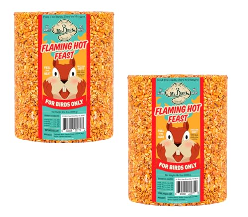 Mr. Bird Flaming Hot Feast Spicy Bird Seed Cylinder, 2-Pack, 4 lbs 3 oz | Premium Blend of Mealworms, Peanuts & Hot Pepper | Squirrel Repellent | Handcrafted in Texas - size: 4.19 Pound (Pack of 2)