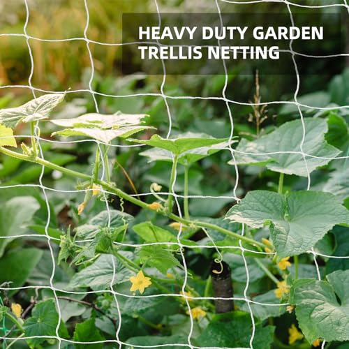Trellis Netting, PDGROW Heavy Duty Garden Trellis Netting, 6 x 30 ft Trellis Netting for Climbing Plants, Outdoor Indoor Grow Net for Support Vine Vegetable Fruits and Flower, 4 Pack（Put in One Pack） - size: 6x30ft - 4 Pack