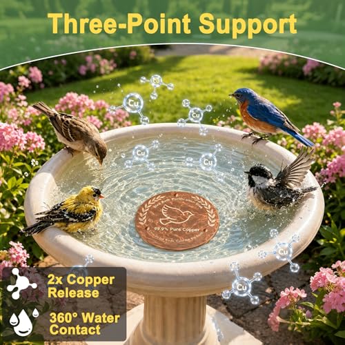 Bird Bath Copper Disk 3 Pack, 99.99% Pure Copper Bird Bath Cleaner with Triple-Point Support, 4 Inch Thick Chemical-Free Natural Water Cleaner for Outdoor BirdBaths, Bowls, All-Season Use - color: 3 Pack