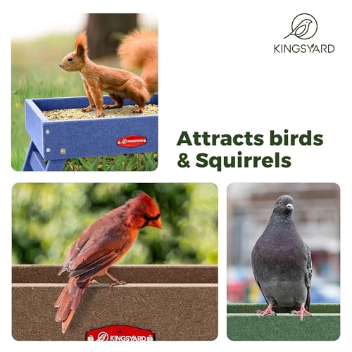 Kingsyard Ground Bird Feeder, Elevated Tray with Recycled Poly Lumber | Metal Mesh Base, Quick Drainage, Foldable Legs for Easy Storage, 5 Lbs Seed Capacity, Weather Resistant, Easy to Clean, Green - color: Green