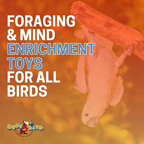 Bird Toys for Large Birds (Spinner) Stainless Steel Bird Toy with Traveling Spinner | Macaw Toys | Durable Puzzle Enrichment Toy for Medium to Large Birds Cockatoos Parrots | Bird Cage Accessories - color: Spinner