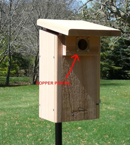 Copper Portal for Western Bluebird Bird Houses 1 9/16" Predator Guard