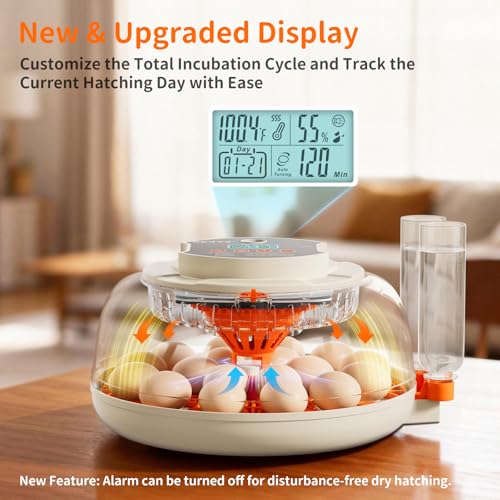 APDOE Egg Incubators for Hatching Eggs, Temperature and Humidity Control, Automatic Egg Turning, Egg Candler, External Water Bottle, Air Vent, for Chicken, Duck & Quail Eggs, 18 Eggs - color: Orange, size: 18 Eggs + 8 Large Eggs