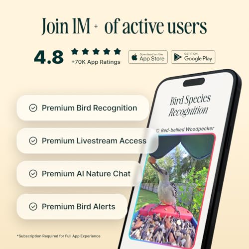 Birdbuddy Solar Hummingbird Feeder with Camera, AI Bird ID, 2K Video, Photo | 2K video quality, 5MP Photos, 1/2.7” sensor with excellent low-light performance, High Dynamic Range (HDR)