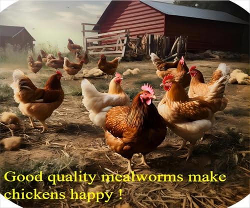 Classic Flock 5lb Dried Mealworms - High Protein Treat for Chickens & Birds | No Additives or Preservatives, Natural Chicken Worms Ideal for Ducks, Wild Birds & Bluebirds, Turtles, Fish, and Reptiles - size: 5 Pound (Pack of 1)