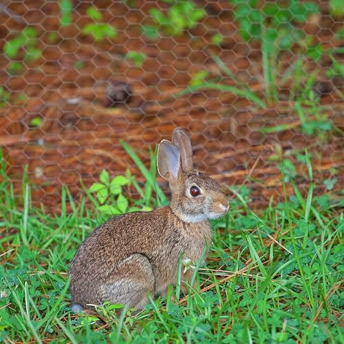 Chicken Wire 16.9 in x 237 in Poultry Wire Netting Hexagonal Galvanized Mesh Garden Fence Barrier for Pet Rabbit Chicken Fencing - color: Silver, size: 16.9"x237"+0Ties
