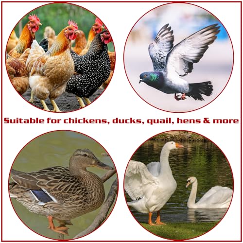 Chicken Waterer Nipples, 8 Pack Horizontal Side Mount Automatic Nipple Drinkers for Poultry Coop, Leakproof, Water-Saving, Easy Install with Drill Bit for Chickens, Ducks, Quails & Birds