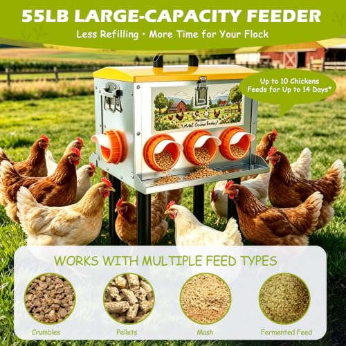 55 LB Metal Automatic Outdoor Chicken Feeder with Adjustable Legs | Large Outdoor Chicken Feed Bin,Waterproof & Rat-Resistant Poultry Feeder for Chickens, Hens & Backyard Flocks