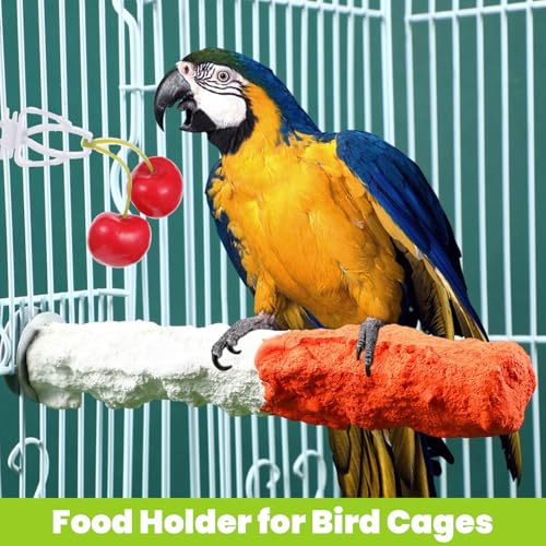 Ouligay 10 Pcs Bird Cage Food Holder, Millet Holder for Bird Cage, Parrot Fruit Vegetable Clips Plastic Bird Feeder Clip for Budgie Parakeet Cockatiel Macaw Conure Cockatoo Small Birds
