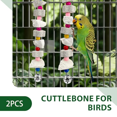 Parakeet Toys 2 Pack with Cuttlebone and Bell | Natural beak grinding stone, calcium supplement for bone health, for budgies, cockatiels, lovebirds, small to medium birds.