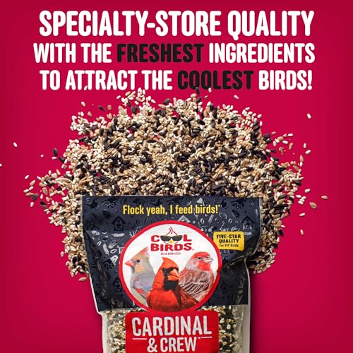 Cool Birds Cardinal & Crew Wild Bird Seed, 10 lb | Black Oil Sunflower, Sunflower Hearts & Safflower Blend for Cardinals, Grosbeaks & Chickadees – Bird Food for Outside Feeders