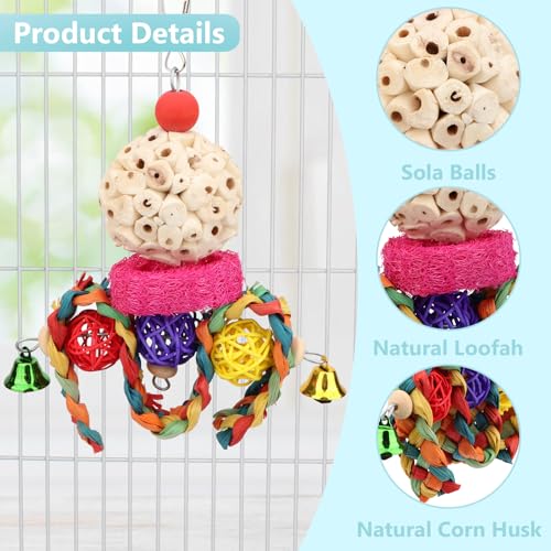Wontee Bird Toys 3 Pack Parrot Foraging Hanging Toys Sola Ball Natural Nuts Chew Toys for Cockatiels Conures Parakeets Budgies Senegal (2 Pack-Colorful) - size: 2 Pack-colorful