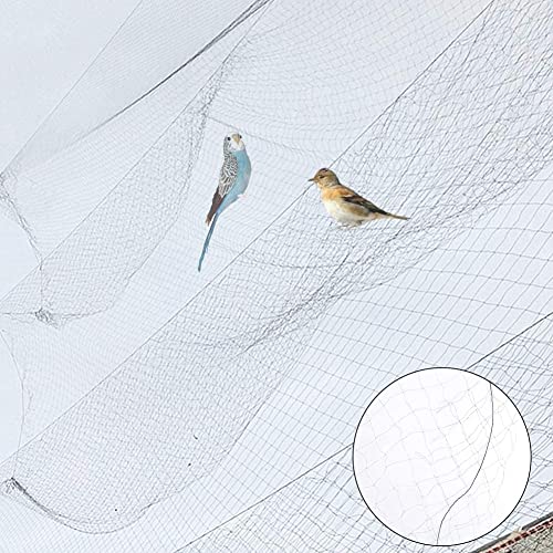 Bird-Preventing Net, 10×3m Black Anti Bird Mist Netting, Mesh Prevent Huting Catching Fruit Crop Garden, Will Not Hurt Birds, Keep Birds from Fruits or Crops